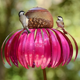 Sensation Pink Coneflower Bird Feeder-ZX124