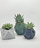 3D Printed Plant Pot - Table Top RPG Dice Succulent Planter Set