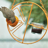 2 in 1 Hanging Clementine Hummingbird Oriole Feeder