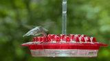 BUY 2 FREE SHIPPING Mary's Sweety Hummingbird Feeder