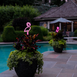 Touch of ECO - Solar LED Neon Pink Flamingo Friendly Garden Stake Light