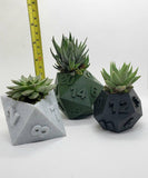 3D Printed Plant Pot - Table Top RPG Dice Succulent Planter Set