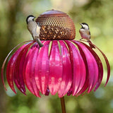 Flower Design Bird Feeder