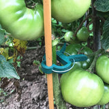 Reusable Garden Flower Lever Loop Gripper Clips