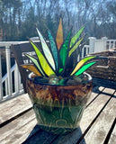 (🔥Summer Hot Sale-49% OFF)Suncatcher Stained Agave Plante